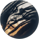 Hanka Kutova profile picture